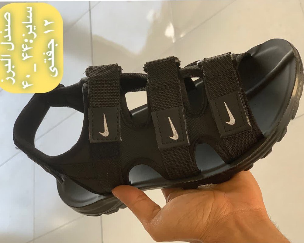  البرز مردانه 