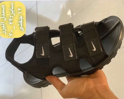  البرز مردانه 