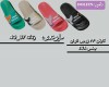  دلفین 