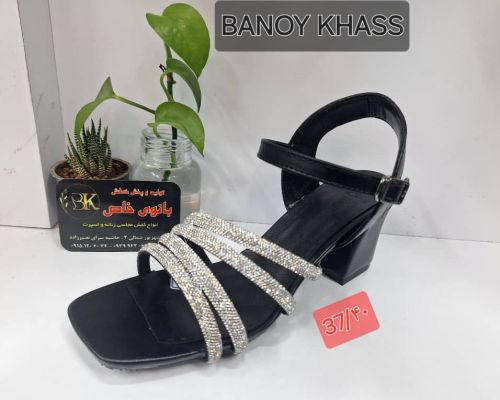  کفش مجلسی 