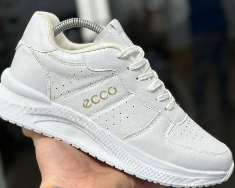  ecco مردانه 