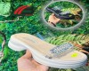  طلقی سگکدار نگینی زیره بهرامی 