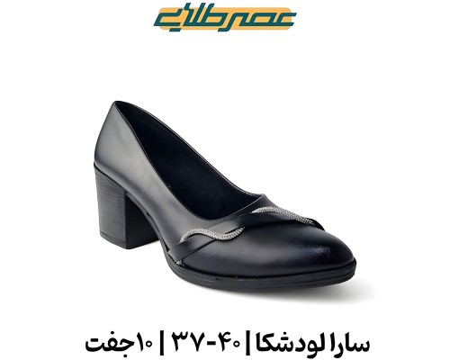  سارا لودشکا 
