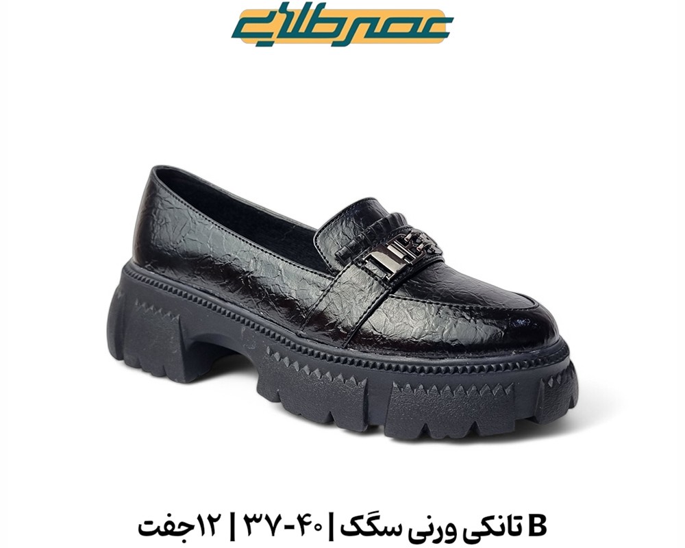  B تانکی ورنی سگک 