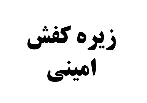 زیره امینی