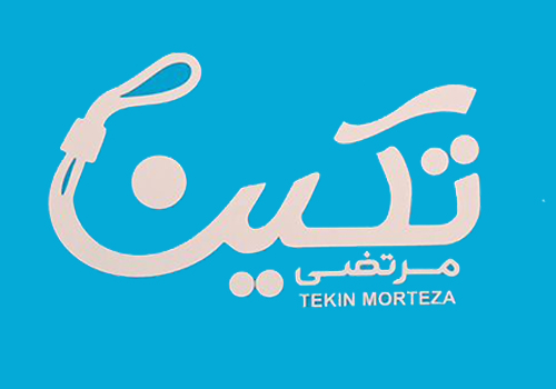 کفش تکین