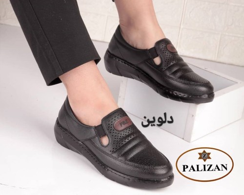  دلوین 