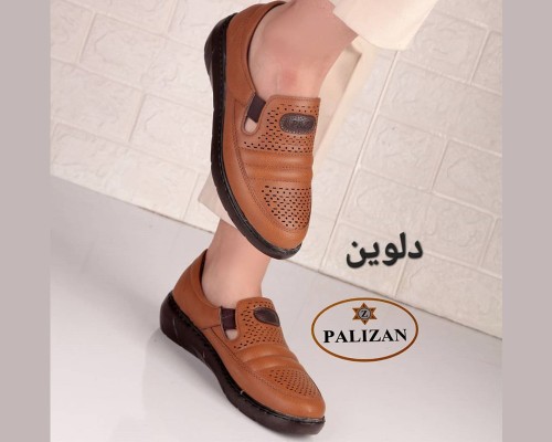 دلوین