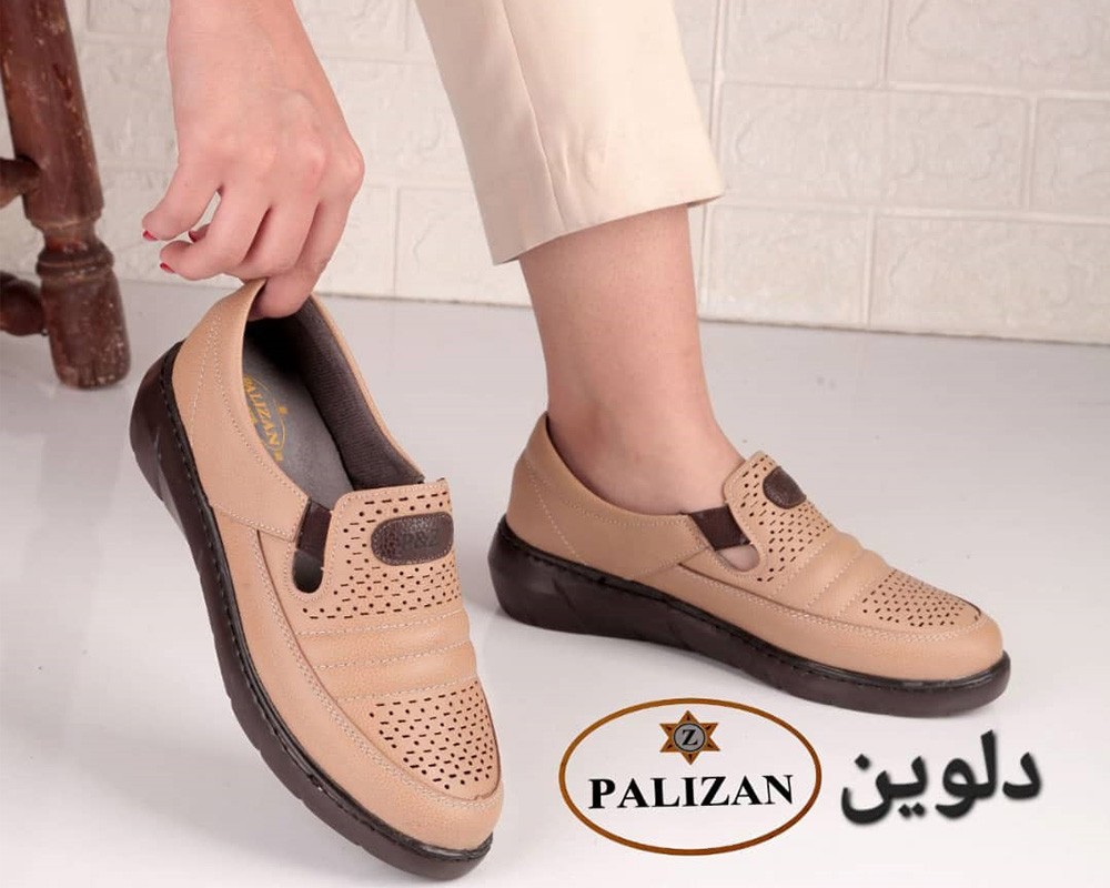  دلوین 