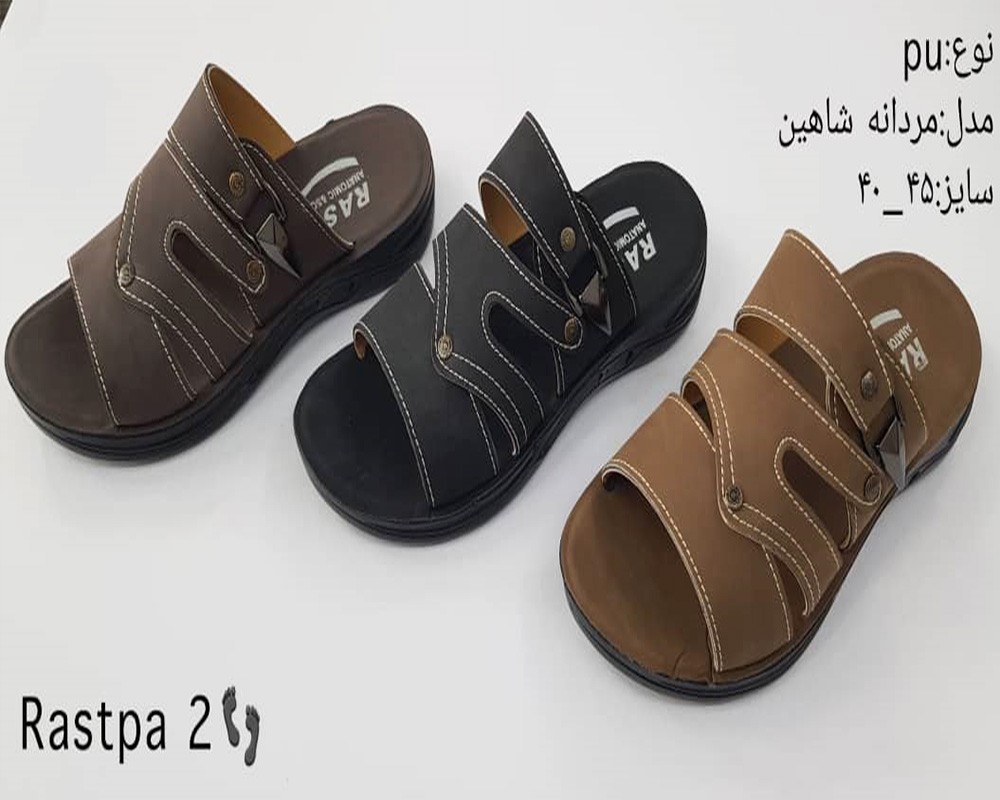  شاهین 