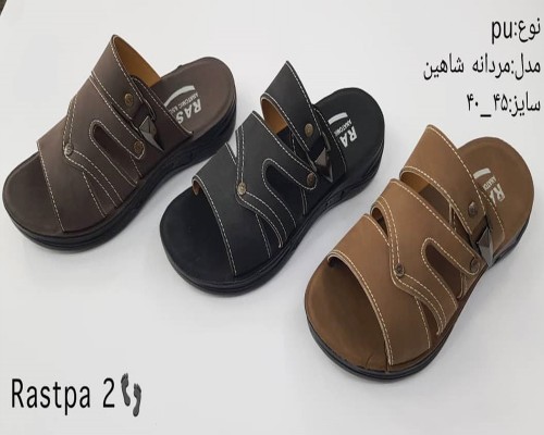  شاهین 