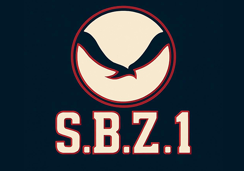 کفش شهباز (کفش sbz) (کفش شهباز 1)