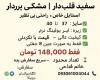  ونس فشیون 