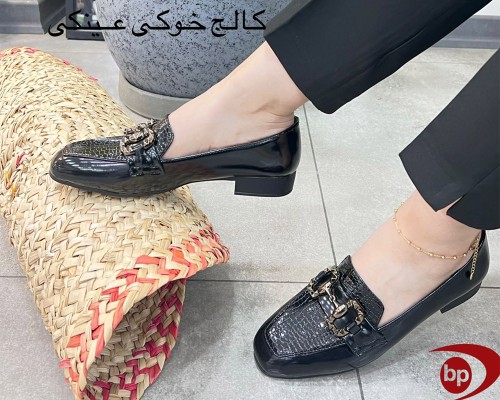  کالج خوکی عینکی 