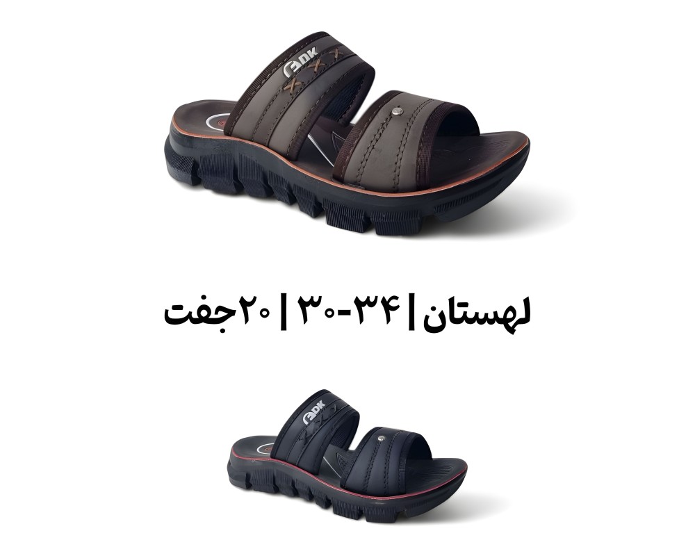  لهستان 