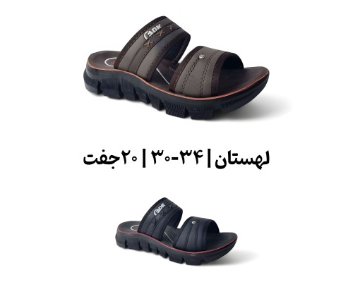  لهستان 