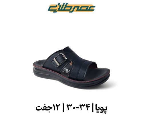  پویا 