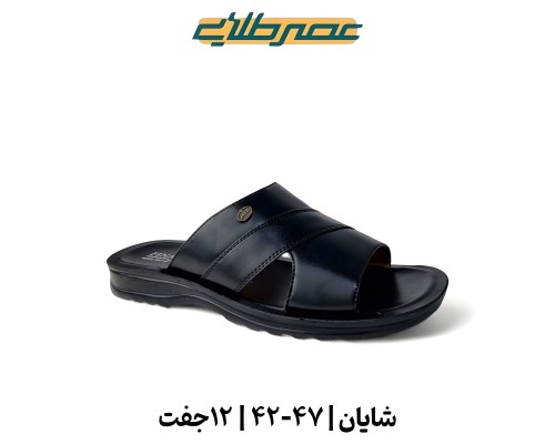  شایان 