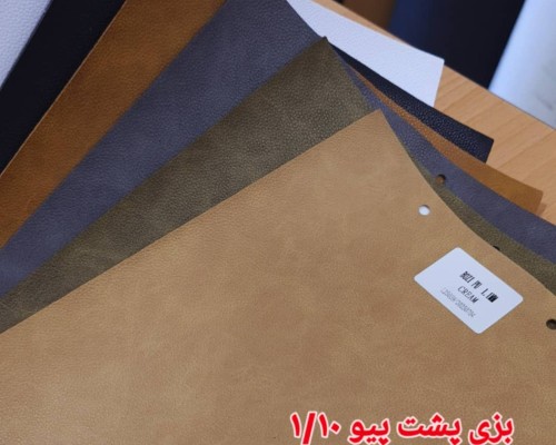  بزی پشت پیو 1/10 