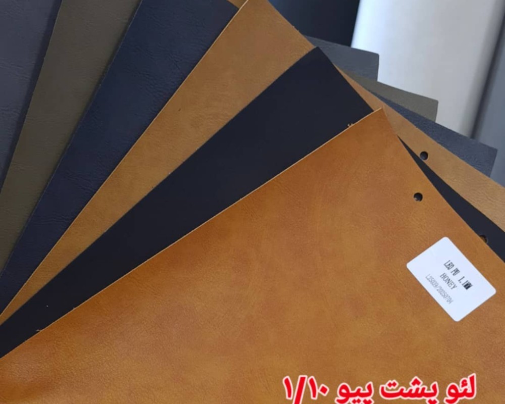  لئو پشت پیو 1/10 