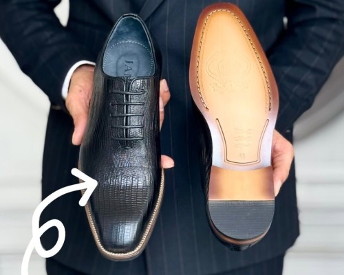  لیزا میکرولایت 