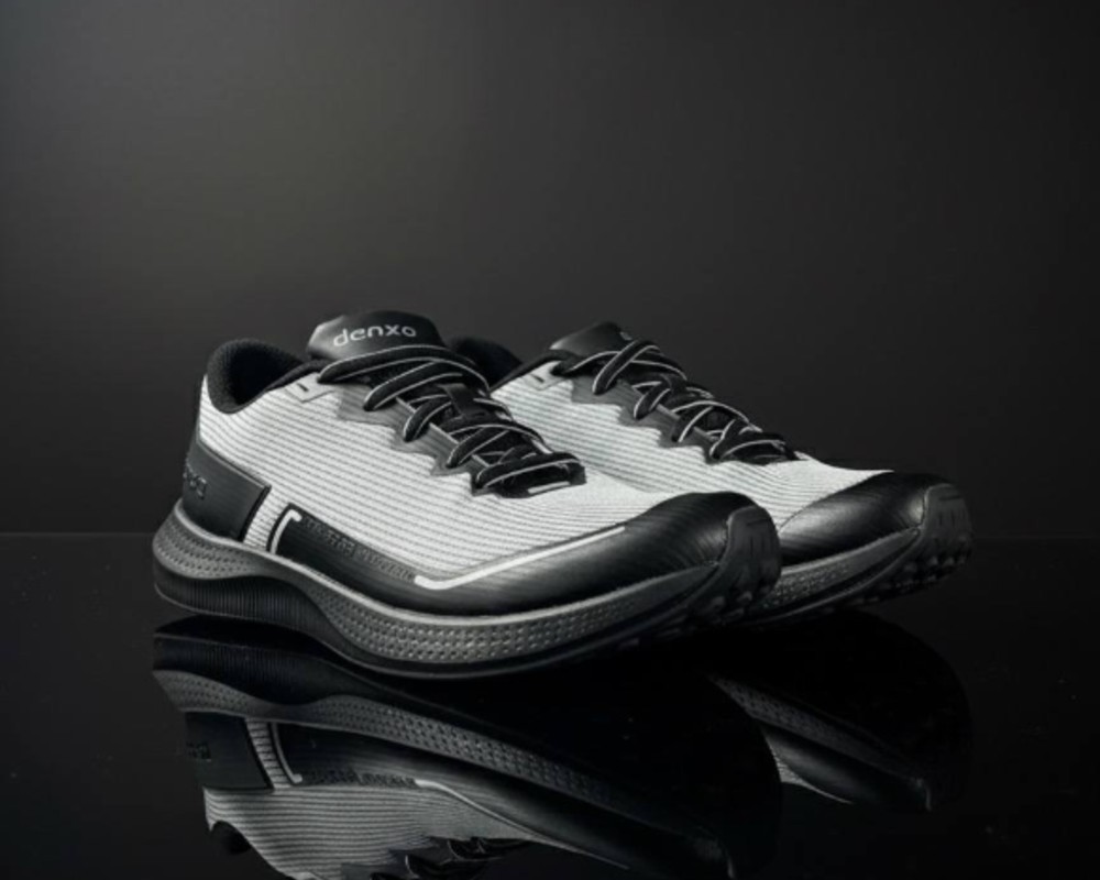  دنزا دیسیپلین 