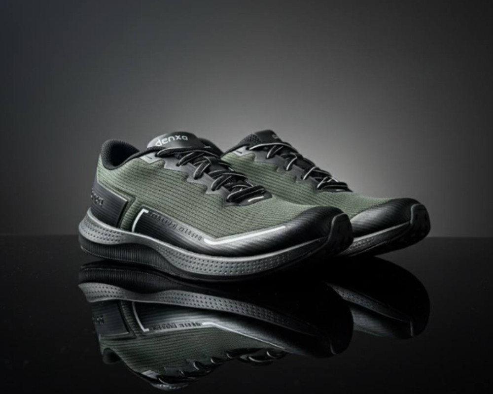  دنزا دیسیپلین 