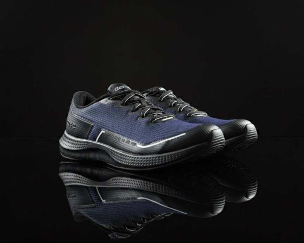  دنزا دیسیپلین 