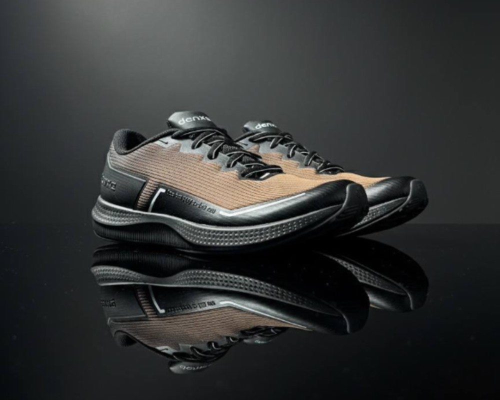  دنزا دیسیپلین 