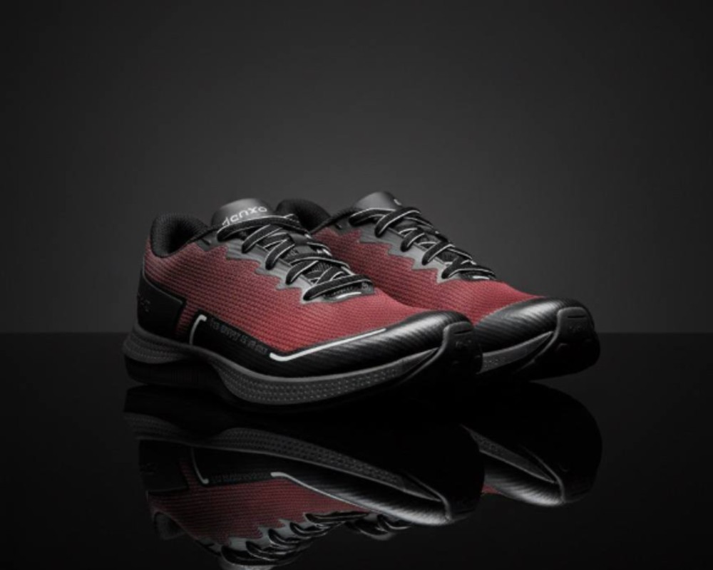  دنزا دیسیپلین 