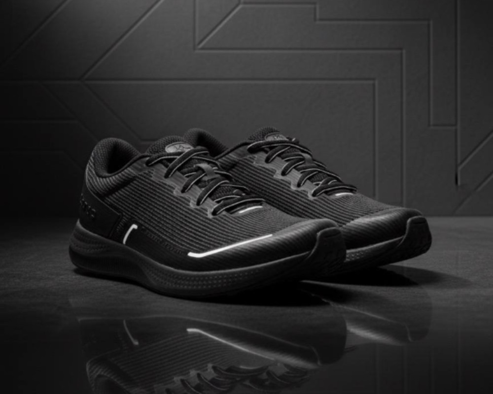  دنزا دیسیپلین 