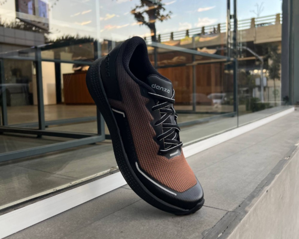  دنزا دیسیپلین 