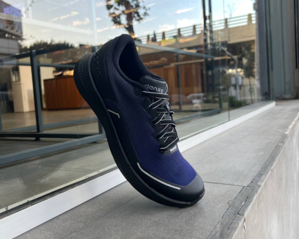  دنزا دیسیپلین 