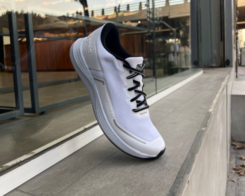  دنزا دیسیپلین 