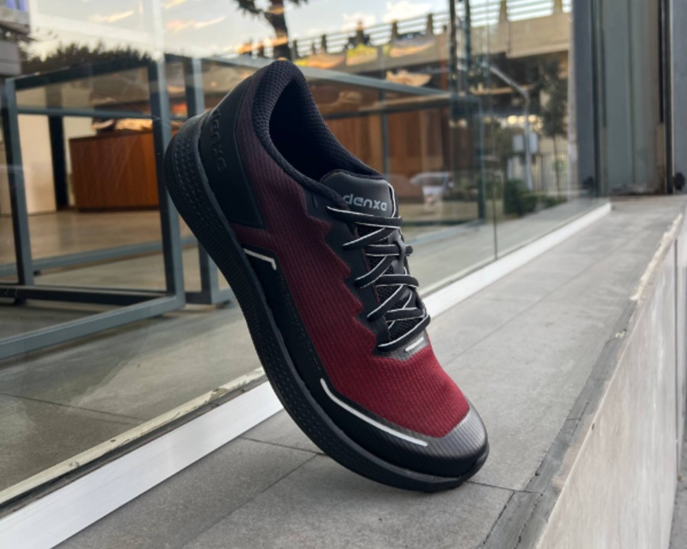  دنزا دیسیپلین 