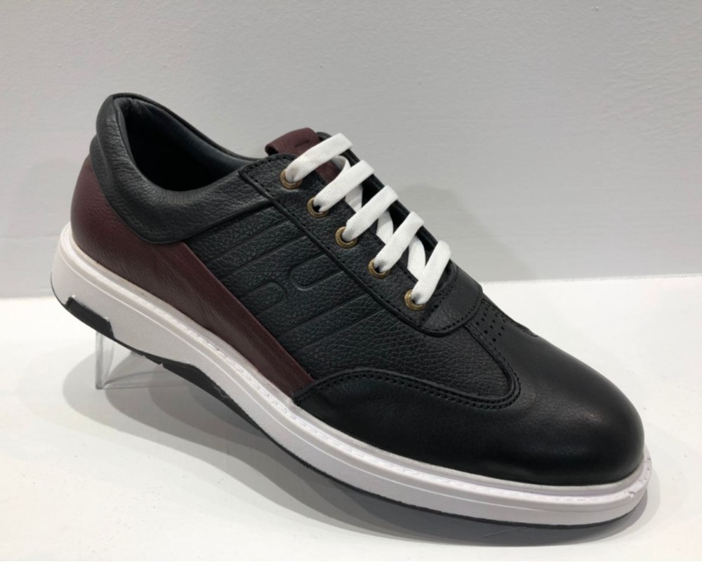  سینا بندی کد 1950 