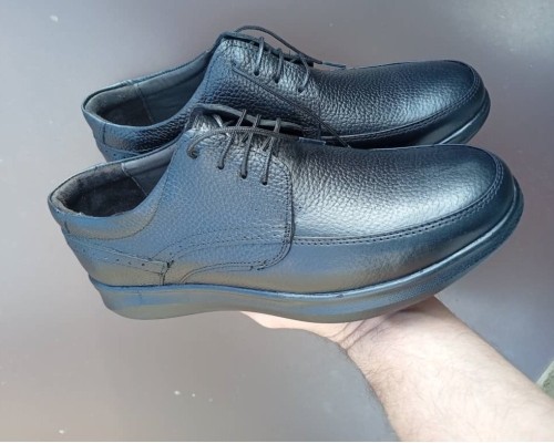  کارتال بندی 