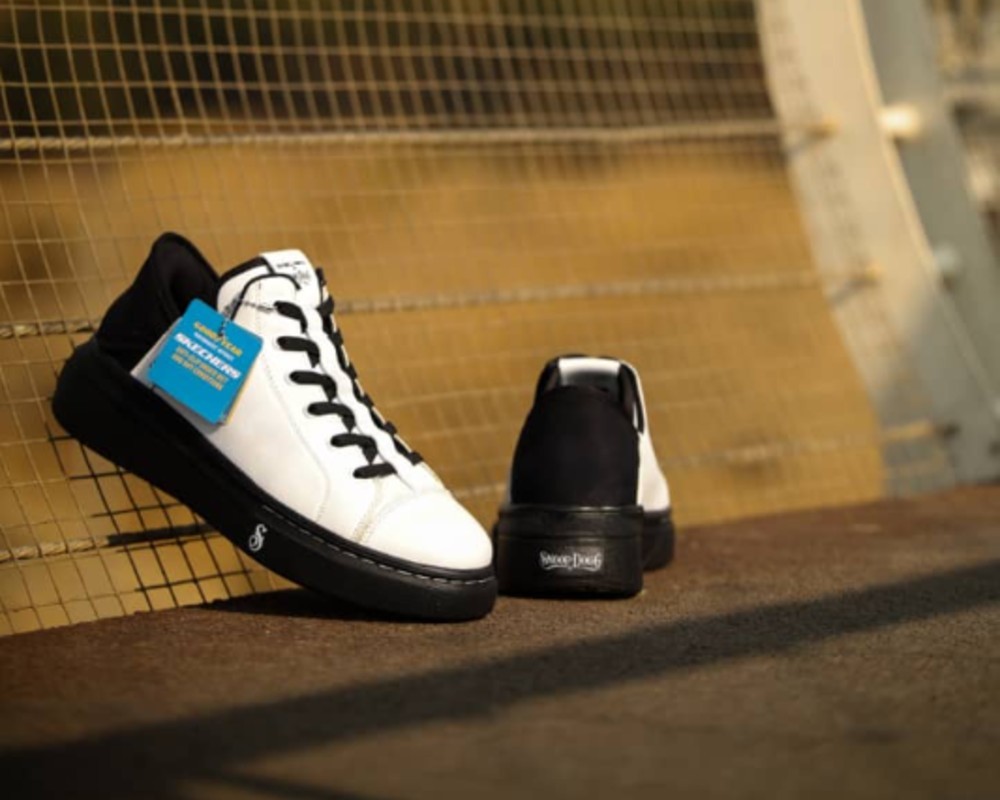  اسنوپ داگ ساده 