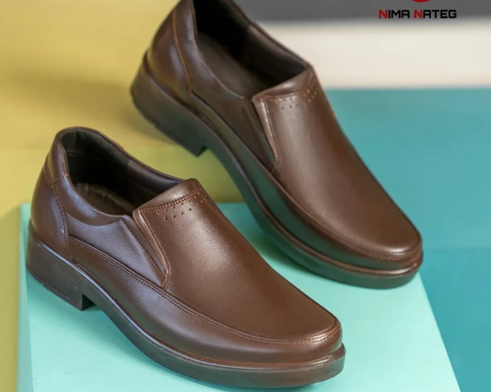  دیپلمات کشی 