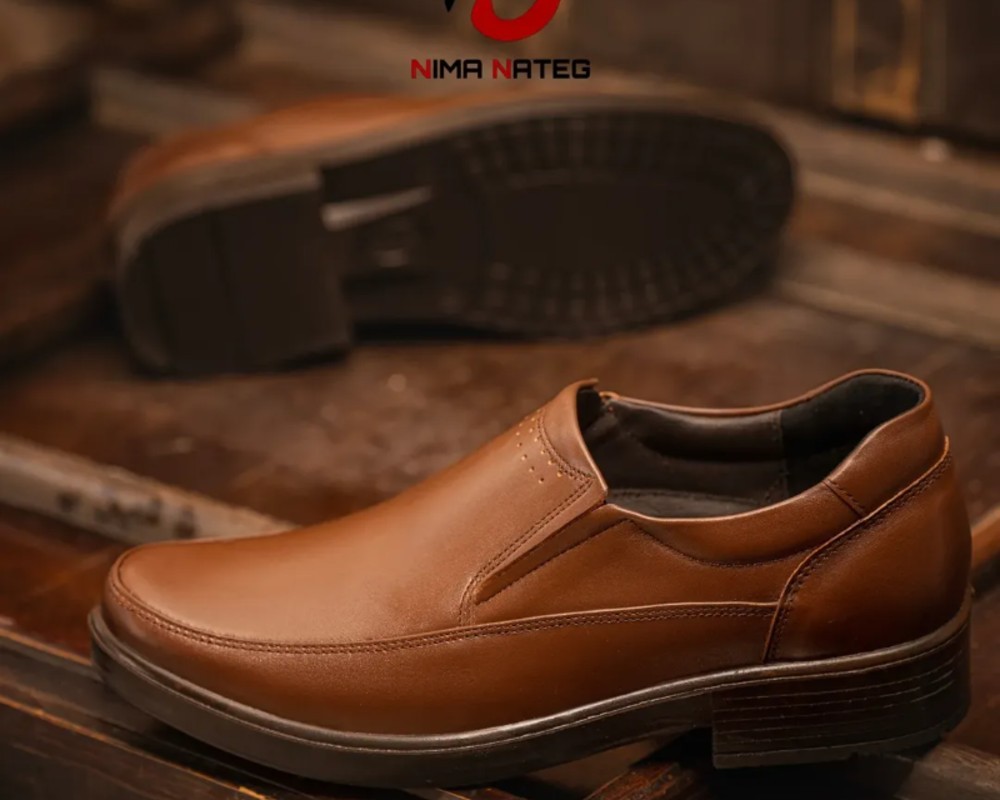  دیپلمات کشی 