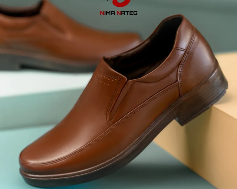  دیپلمات کشی 