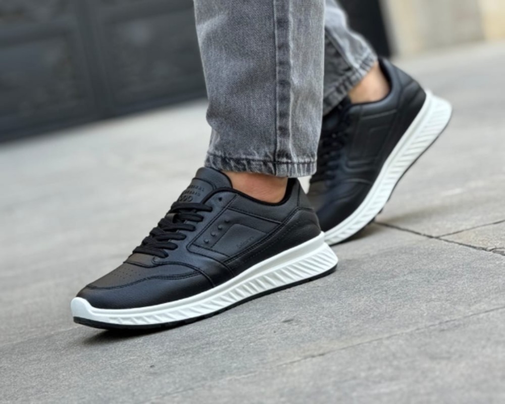  اکو بیوم زنانه ، مردانه و بزرگپا 