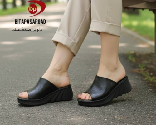  دلوین صدف بلند 