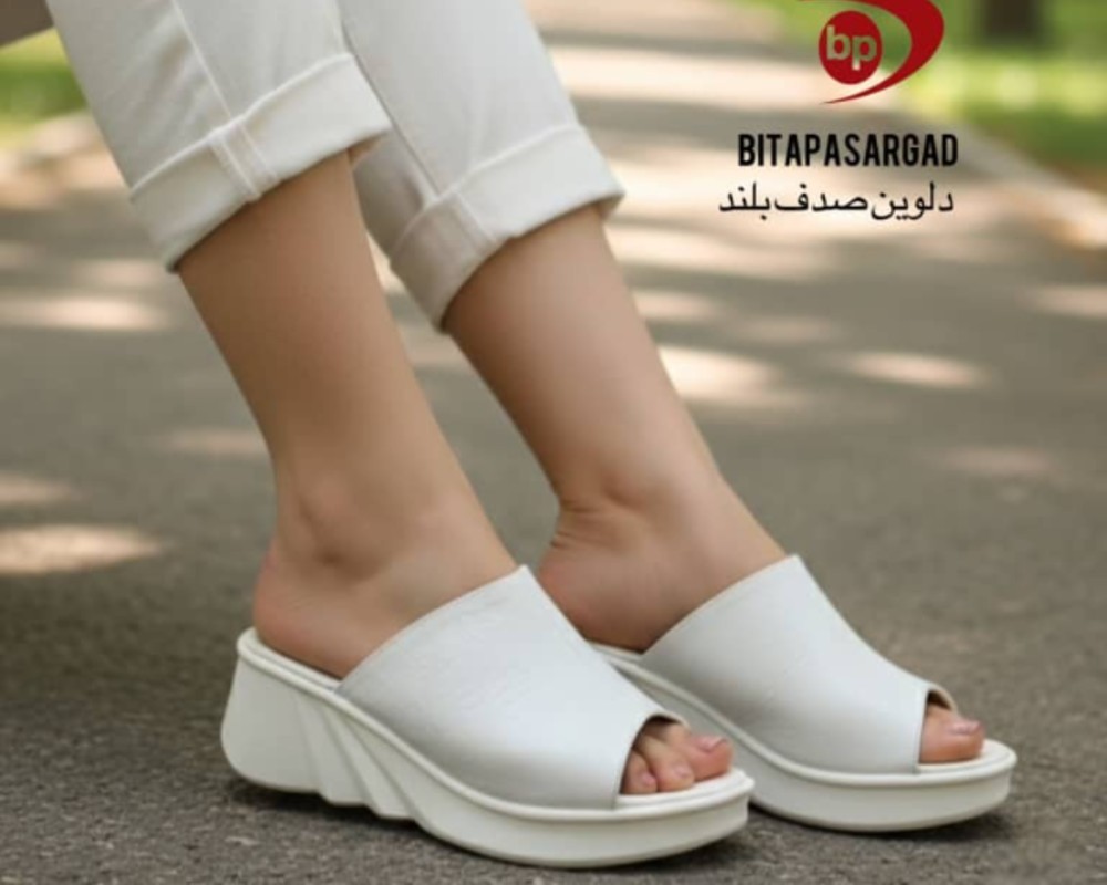  دلوین صدف بلند 