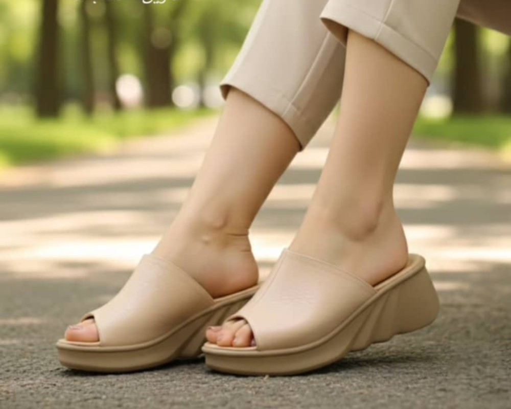  دلوین صدف بلند 