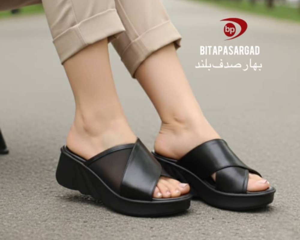  بهار صدف بلند 