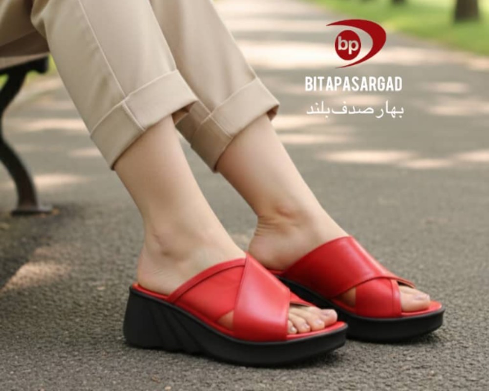  بهار صدف بلند 