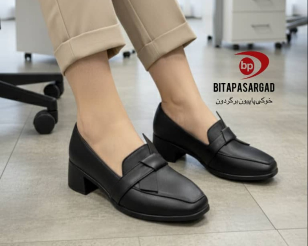  خوکی پاپیون برگردون 