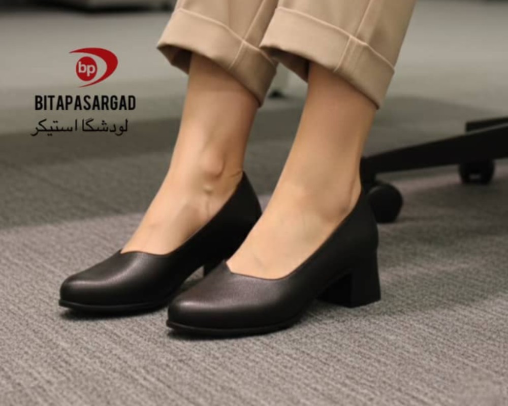  لودشکا استیکر 