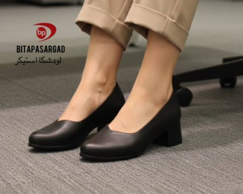  لودشکا استیکر 